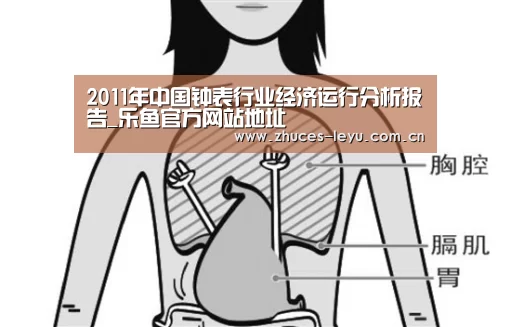 2011年中国钟表行业经济运行分析报告_乐鱼官方网站地址(图1) 乐鱼体育App下载